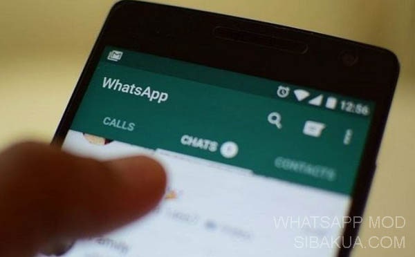 kelebihan kekurangan whatsapp mod
