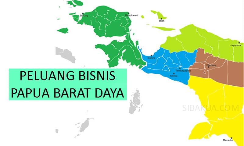 peluang bisnis usaha papua barat daya