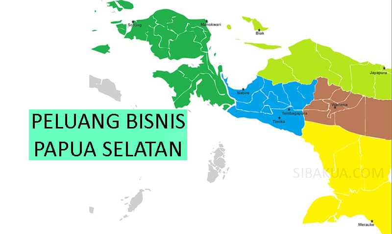 peluang bisnis papua selatan