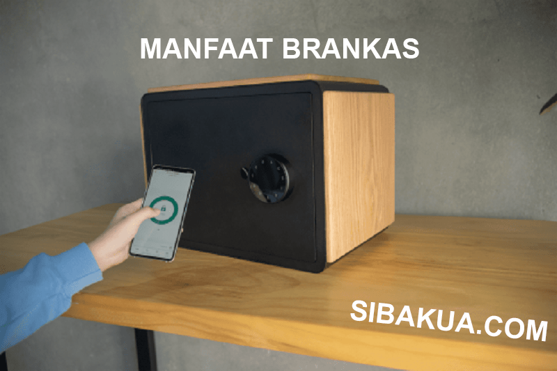 manfaat brankas